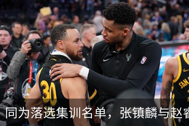 同为落选集训名单，张镇麟与赵睿的境遇差异何在？